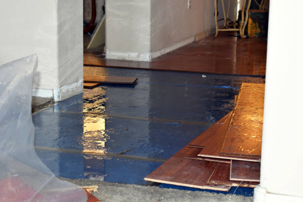 Professional Flood Cleanup technician working in Angola, IN